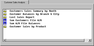 Customer Sales Analysis 
